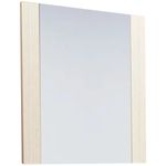 espejo-vertical-rivo-schneider-evr60-60x74-principal