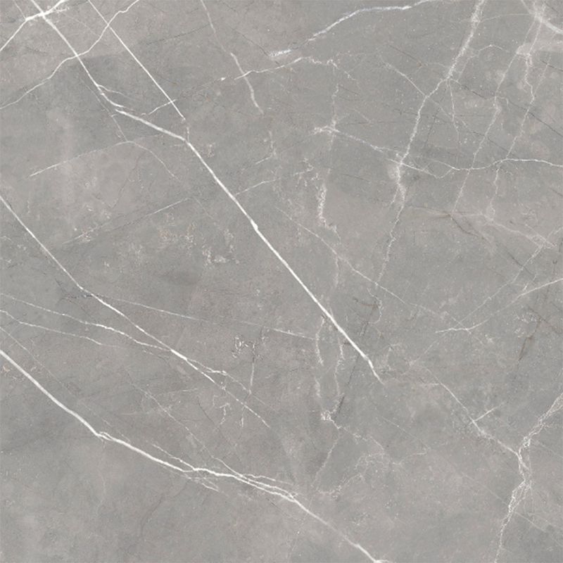 parisgrisbrilantecn51x51