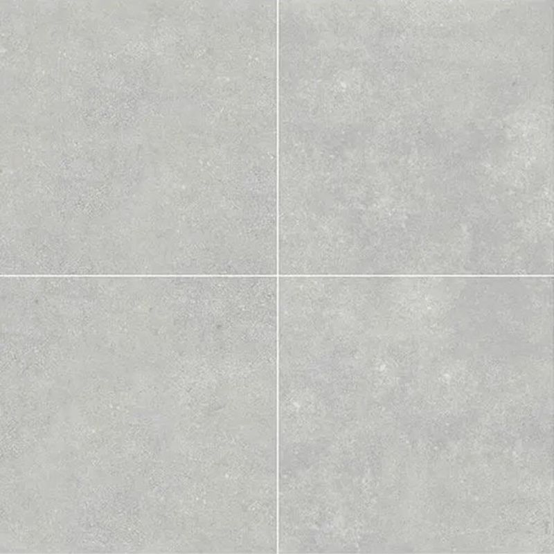 liscio-light-grey-vi-60x60-paño