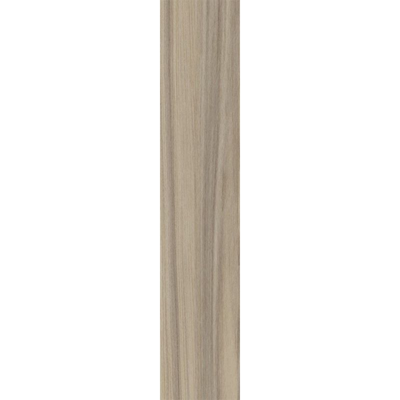 tarco-beige-20x80-principal
