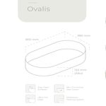 Bacha-Selah-Ovalis-White-Brillante-esquema