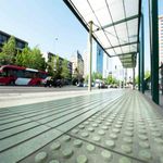 Safety-Stone-Alerta-Gris-principal-ambeintacion