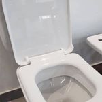 Tapa-Asiento-Inodoro-Bari-Ferrum-TKSP-B-ambientacion