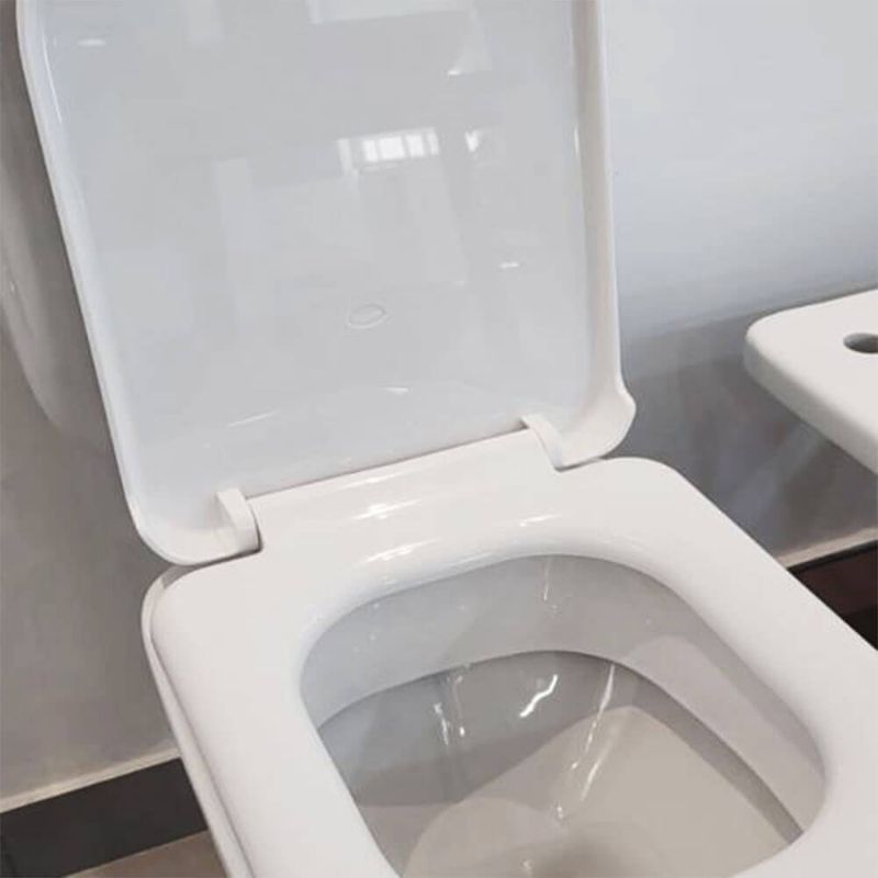 Tapa-Asiento-Inodoro-Bari-Ferrum-TKSP-B-ambientacion