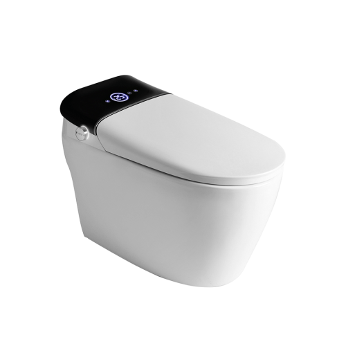 Inodoro Ferrum Milano Smart Tec
