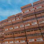 LadrilloHueco8x18x33